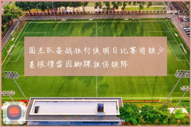 国王队备战独行侠明日比赛将缺少基根穆雷因脚踝扭伤缺阵